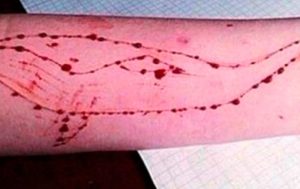 la ballena azul, como saber si mi hijo juega. Reto de la ballena azul