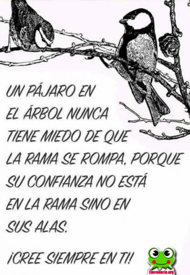 Un pájaro en el árbol...