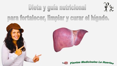 Dieta nutricional para fortalecer, limpiar y curar hígado. Hígado graso.