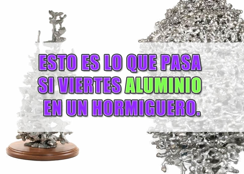 Aluminio fundido en un hormiguero