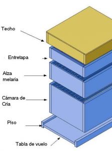 colmena tipo Langstroth