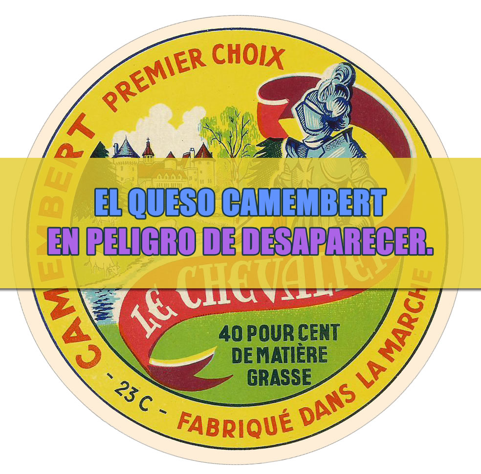 queso camembert original