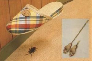 invento para matar cucarachas