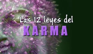 LA LEY DEL KARMA. 12 LEYES DEL KARMA. PRINCIPIOS DEL BUDISMO