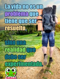 Frases Motivadoras. La vida no es...