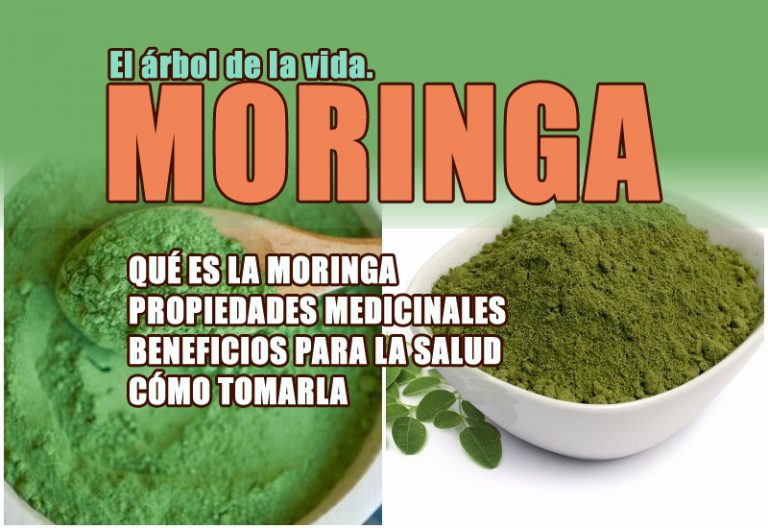 Moringa oleífera. Qué propiedades tiene la moringa.