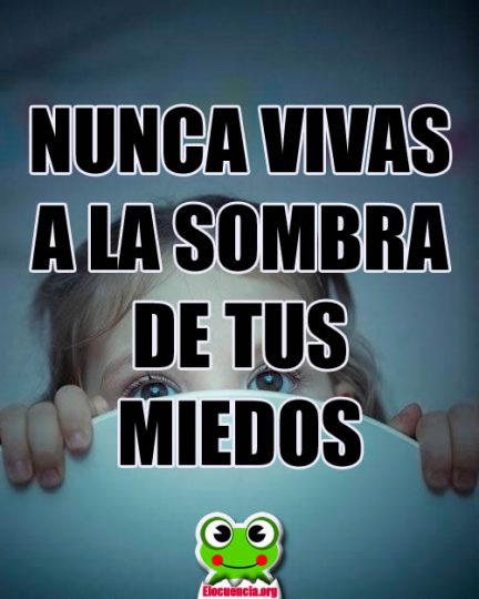 Frases Motivadoras. Nunca vivas...