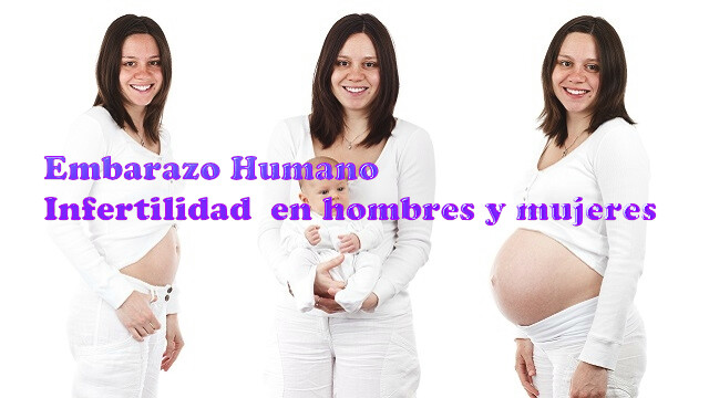infertilidad hombres y mujeres