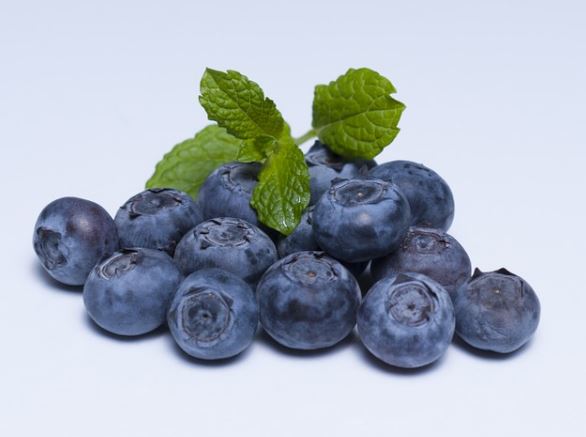 arandanos y moras para la diabetes