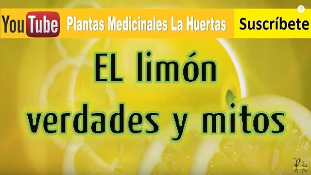 agua con limon mitos verdades usos
