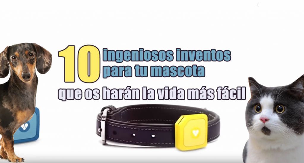 inventos para mascotas. rastreador GPS para tu mascota