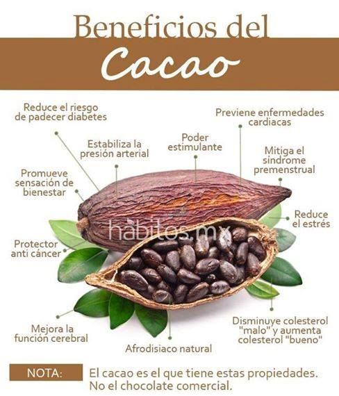 beneficios del cacao