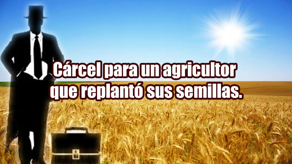 carcel para un agricultor que replanto sus semillas