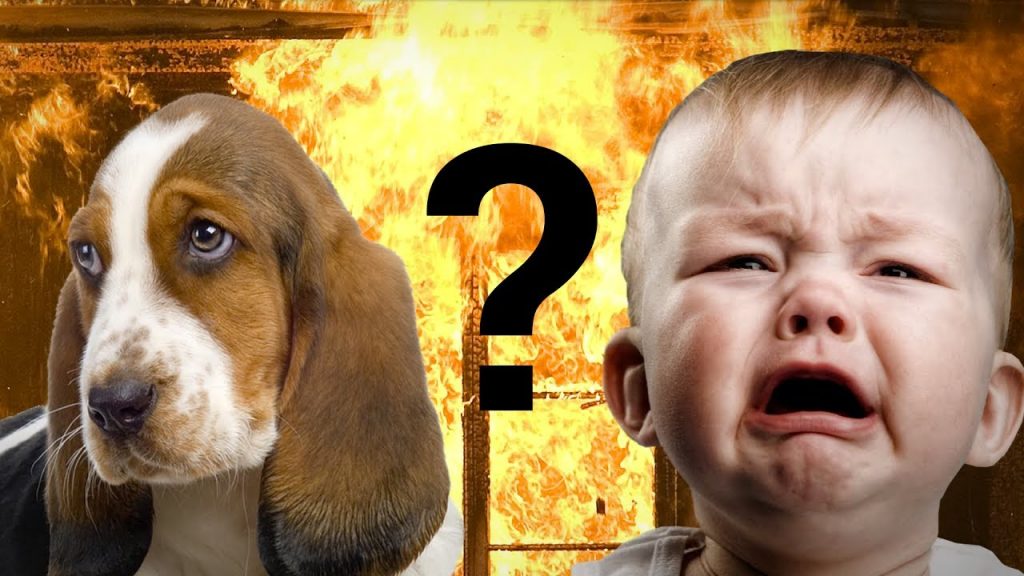 a quién salvaría antes, a su cachorrito o a un bebé desconocido