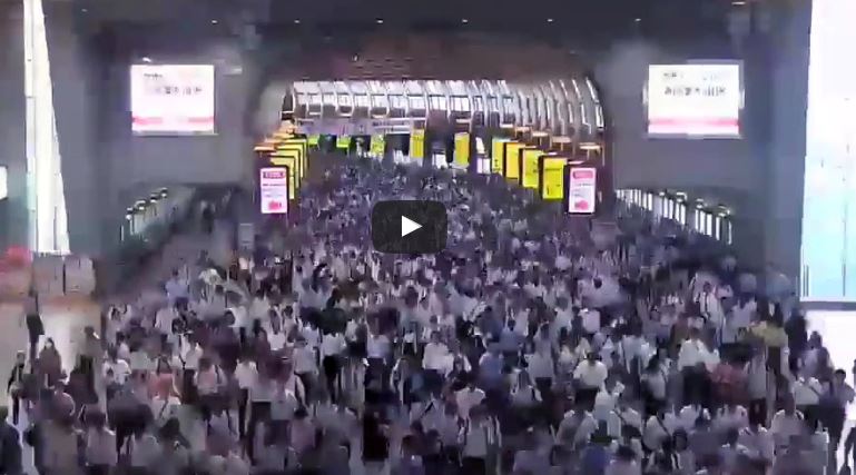 vivir en el campo vs ciudad tolio hora punta