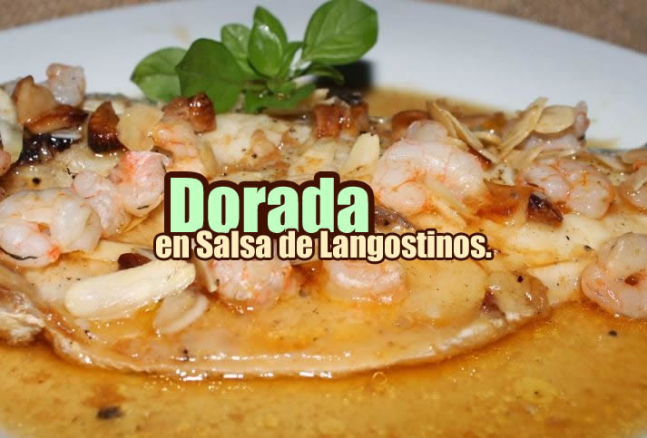 dorada en salsa de langostinos. portada.