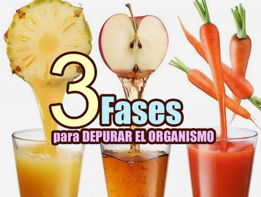 desintoxicar el organismo portada