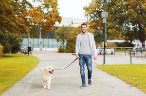 Pasear nuestra mascota