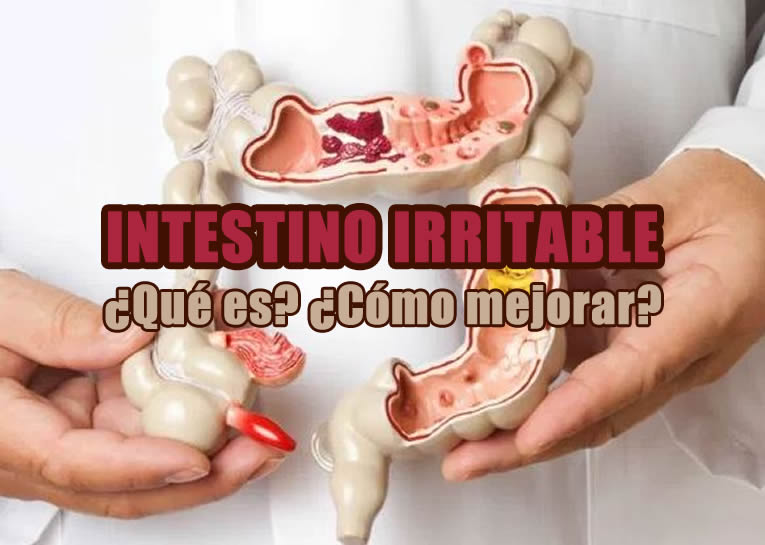 intestino irritable portada