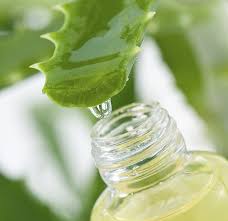 Aloe vera para combatir el colesterol