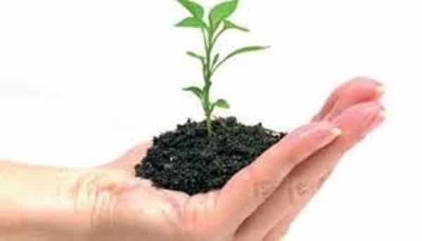 Como hacer un huerto