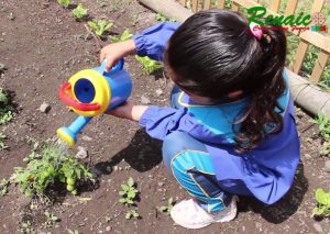 significado de los chakras