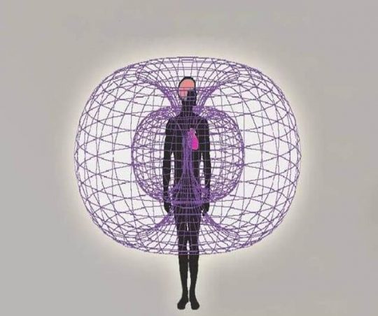 que es biomagnetismo