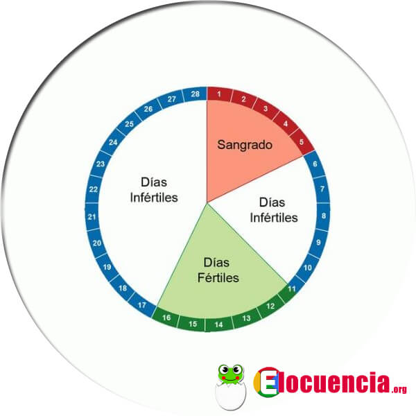 como quedar embarazada ciclo menstrual