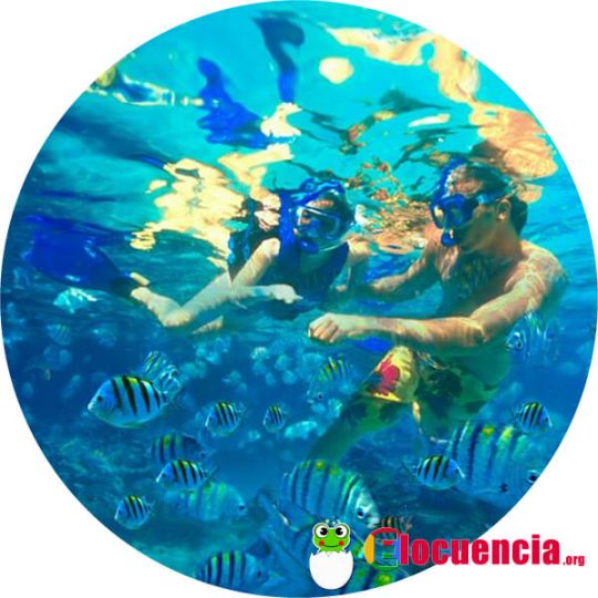 actividades acuaticas en isla mujeres mexico