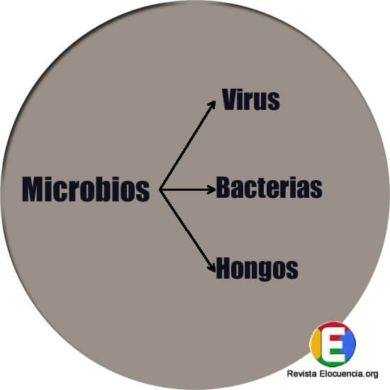 Tipos de microbios