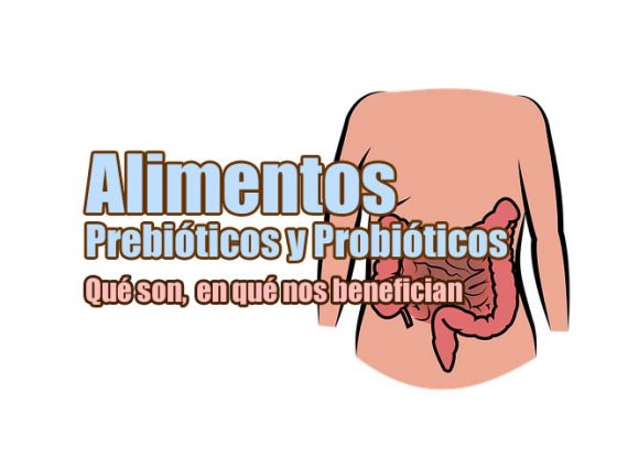 imagen principal del artículo sobre prebióticos y probióticos en la que aparece un aparato digestivo humano