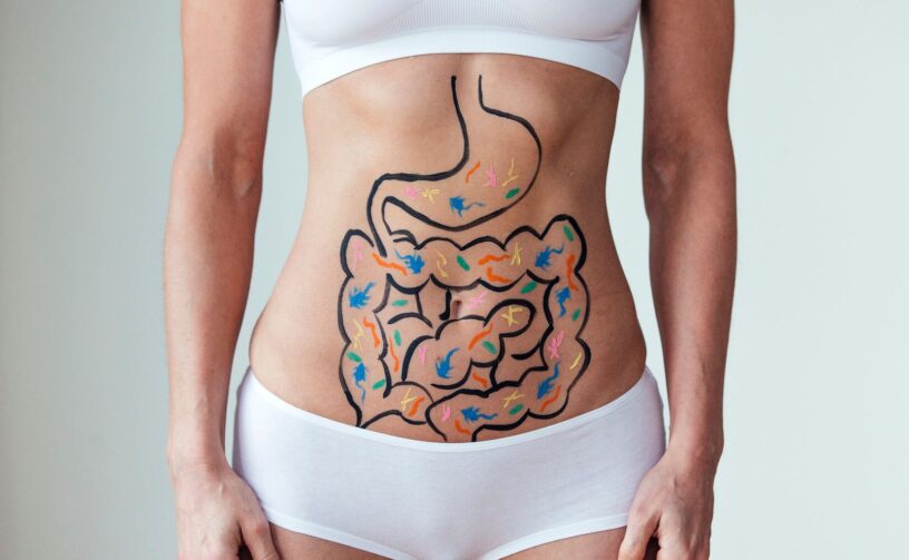 imagen de portada del artículo sobre protectores estomacales naturales en la que aparece el torso de una mujer y sobre él, pintado una representación del estómago y los intestinos