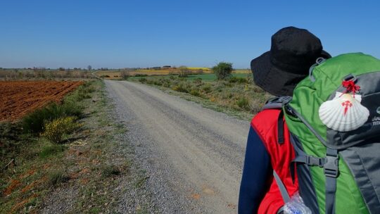 imagen de portada sobre las alternativas para hacer el camino de Santiago en la que aparece un peregrino de espaldas recorriendo un camino