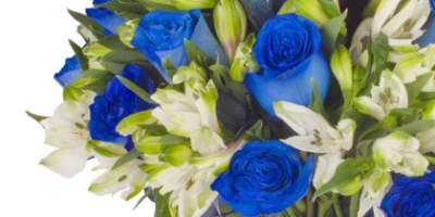 imagen en la que aparece un arreglo floral de flores azules